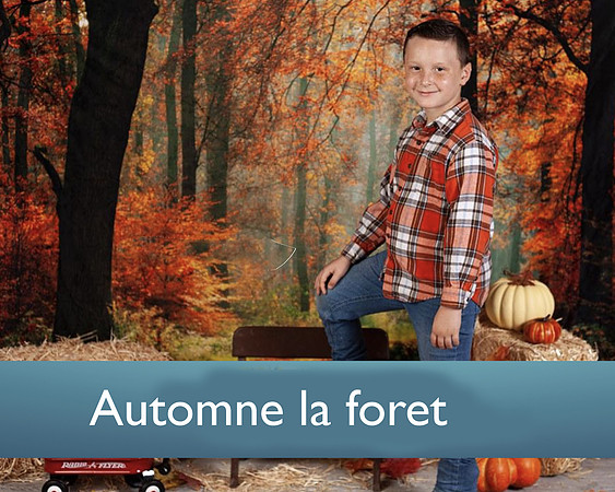automne la foret