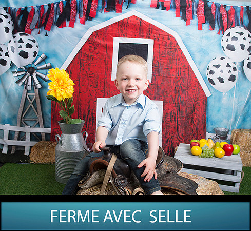 FERME AVEC  SELLE